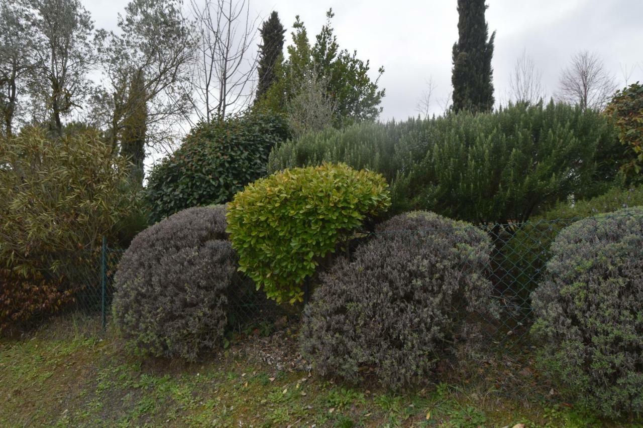 La Tosca Country House Apartment San Gimignano Exterior photo